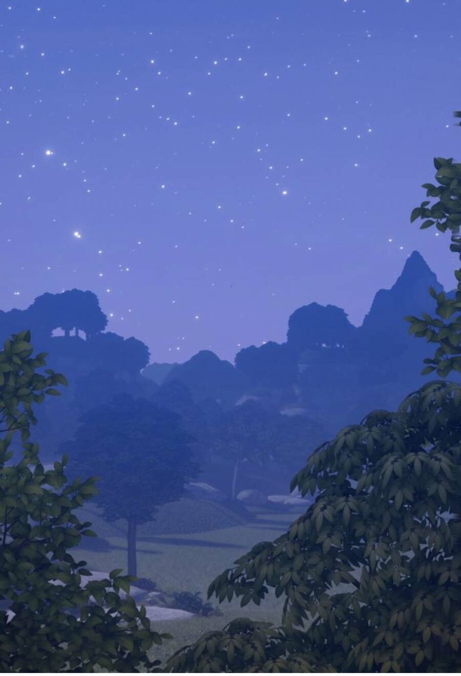 Gậy Gỗ Cấp 99+ - Chương 11