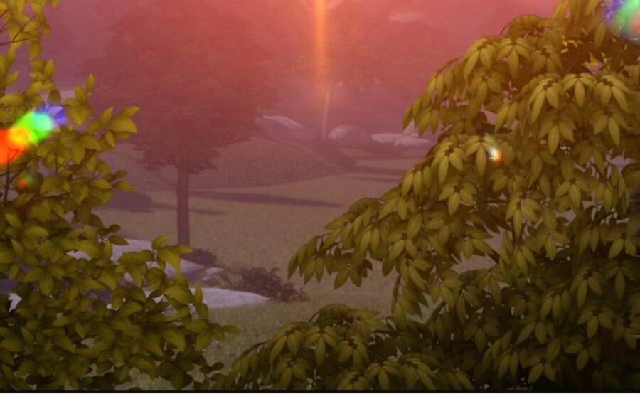 Gậy Gỗ Cấp 99+ - Chương 11