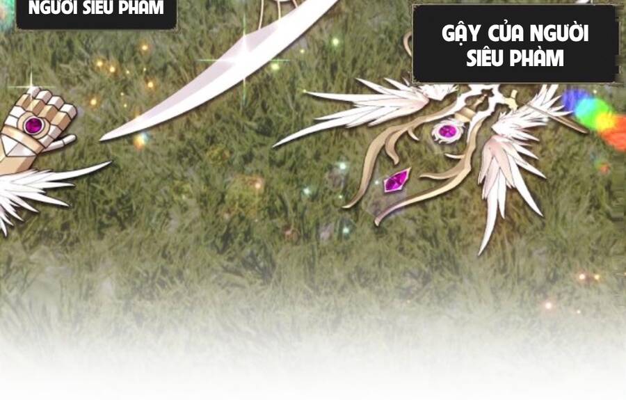 Gậy Gỗ Cấp 99+ - Chương 11