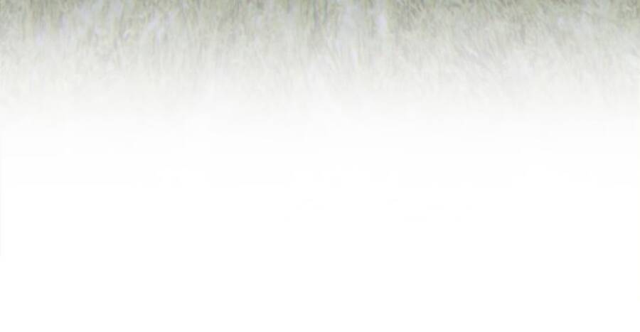 Gậy Gỗ Cấp 99+ - Chương 11