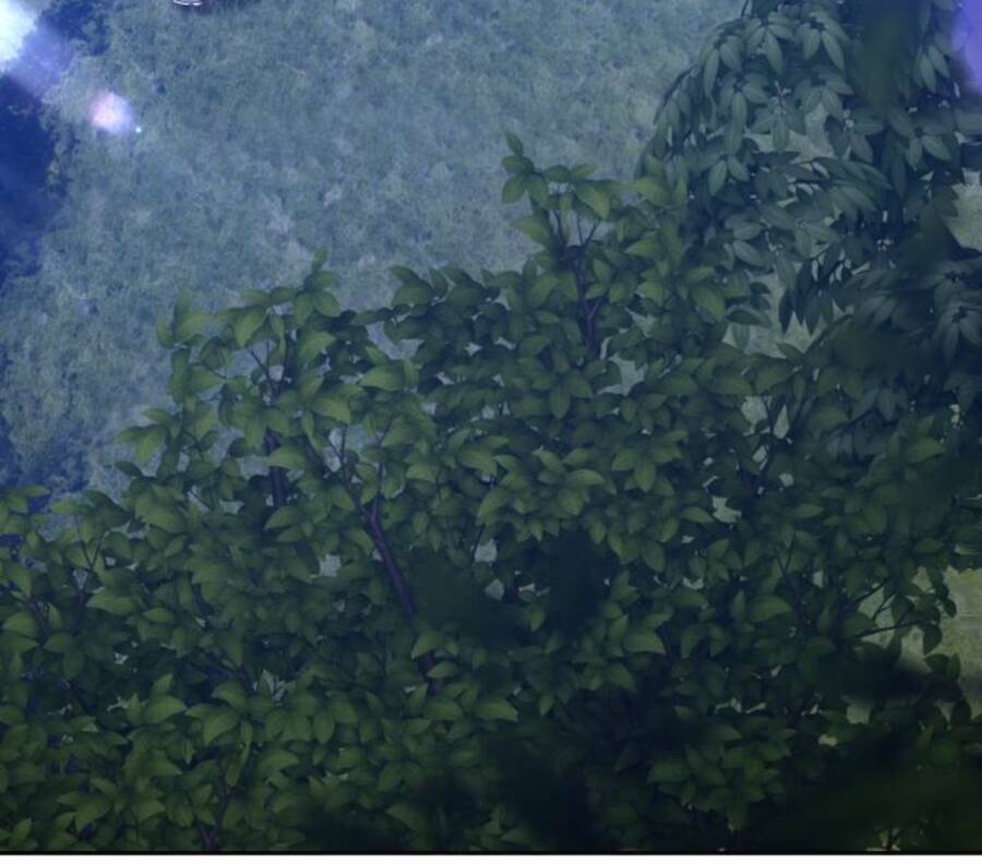 Gậy Gỗ Cấp 99+ - Chương 11