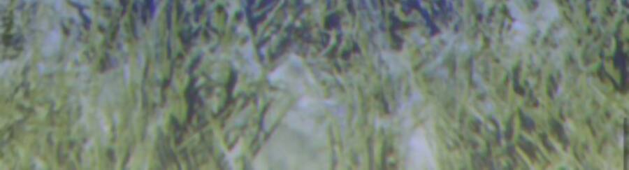 Gậy Gỗ Cấp 99+ - Chương 11