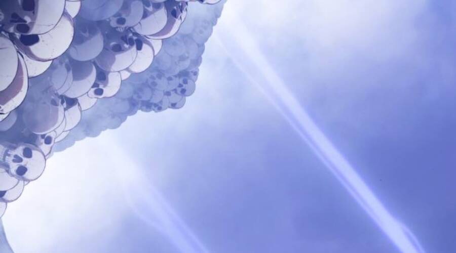 Gậy Gỗ Cấp 99+ - Chương 11