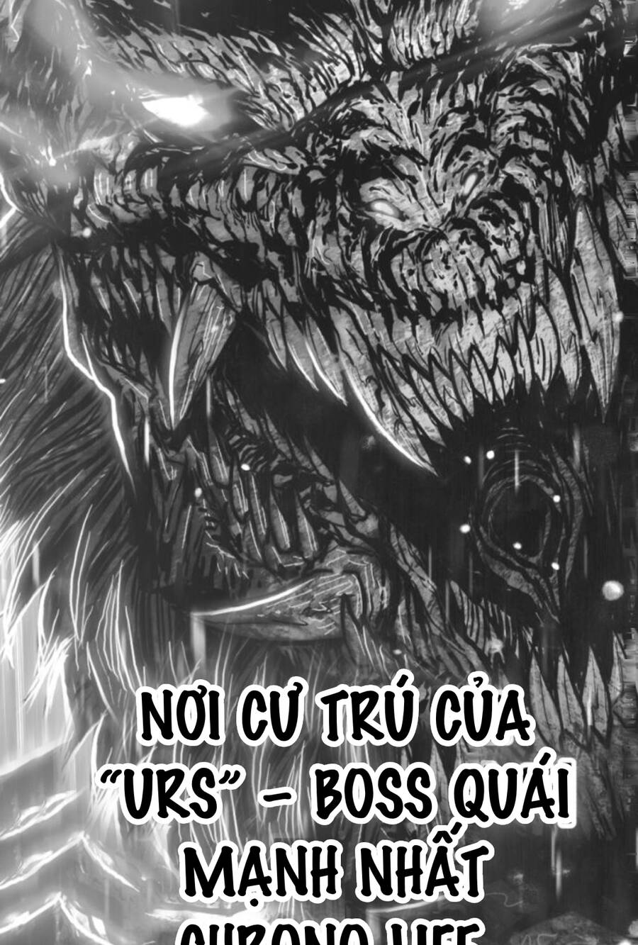 Gậy Gỗ Cấp 99+ - Chương 11