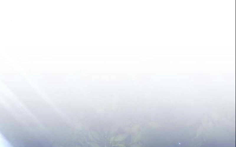 Gậy Gỗ Cấp 99+ - Chương 6.1