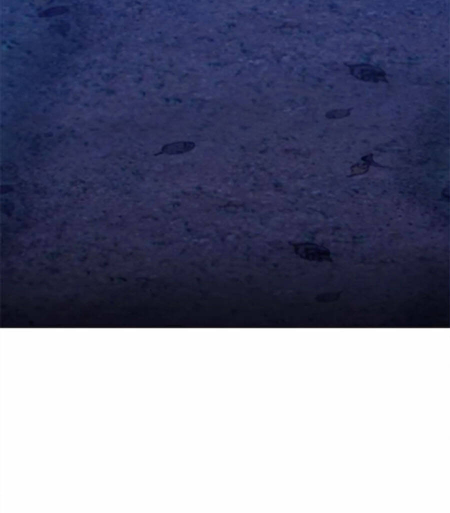 Gậy Gỗ Cấp 99+ - Chương 9