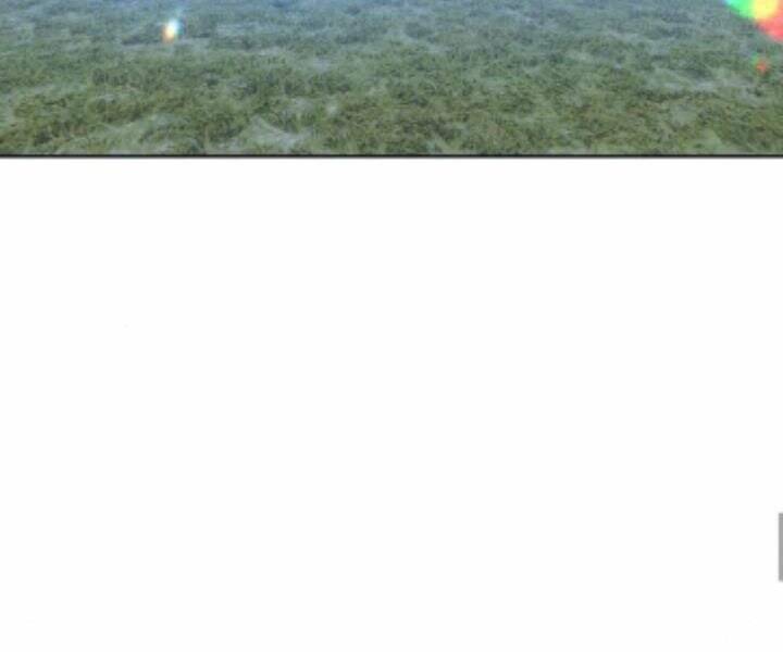 Gậy Gỗ Cấp 99+ - Chương 10.5