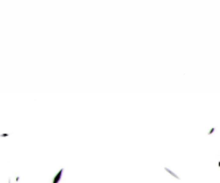 Gậy Gỗ Cấp 99+ - Chương 10.5