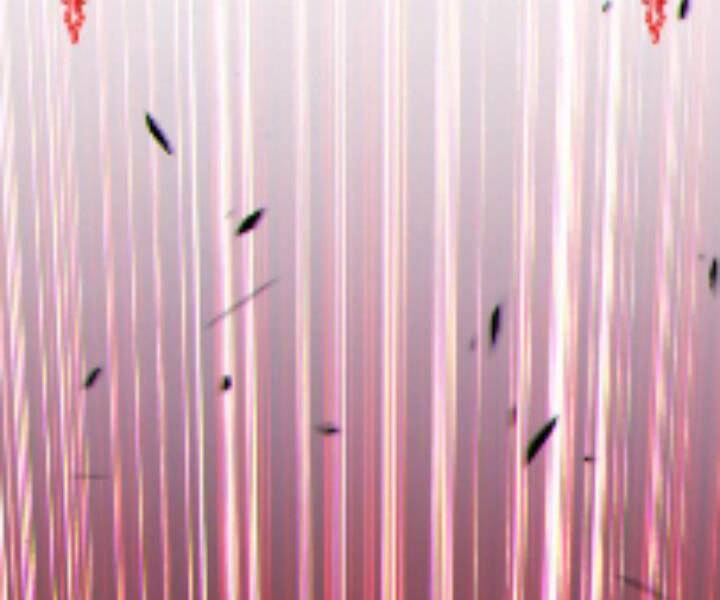 Gậy Gỗ Cấp 99+ - Chương 10.5