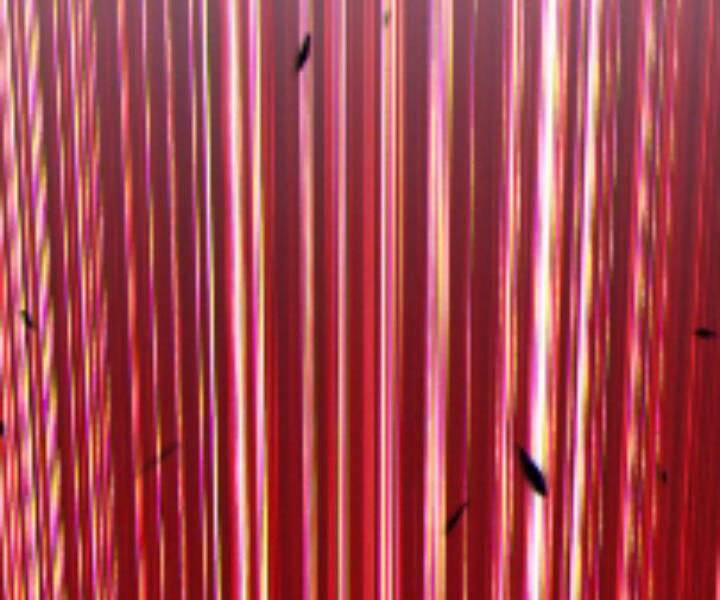 Gậy Gỗ Cấp 99+ - Chương 10.5