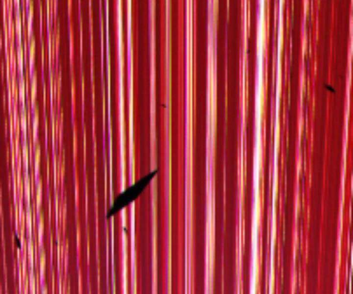 Gậy Gỗ Cấp 99+ - Chương 10.5