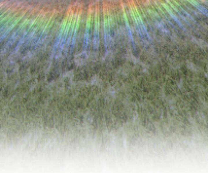 Gậy Gỗ Cấp 99+ - Chương 10.5