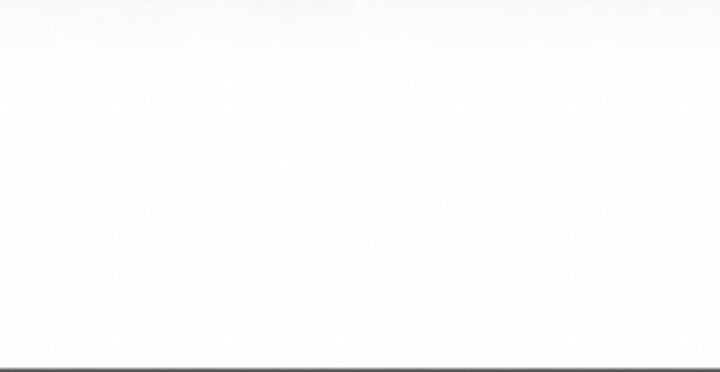 Gậy Gỗ Cấp 99+ - Chương 10.5