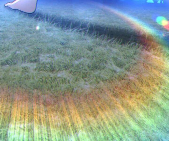 Gậy Gỗ Cấp 99+ - Chương 10.5