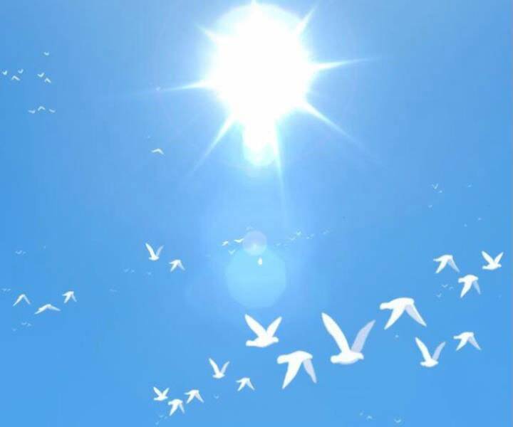 Gậy Gỗ Cấp 99+ - Chương 10