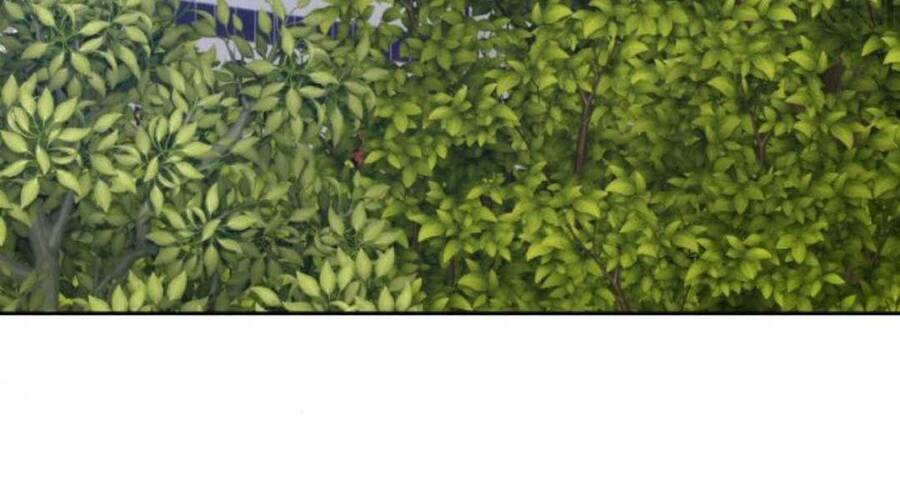 Gậy Gỗ Cấp 99+ - Chương 12.5