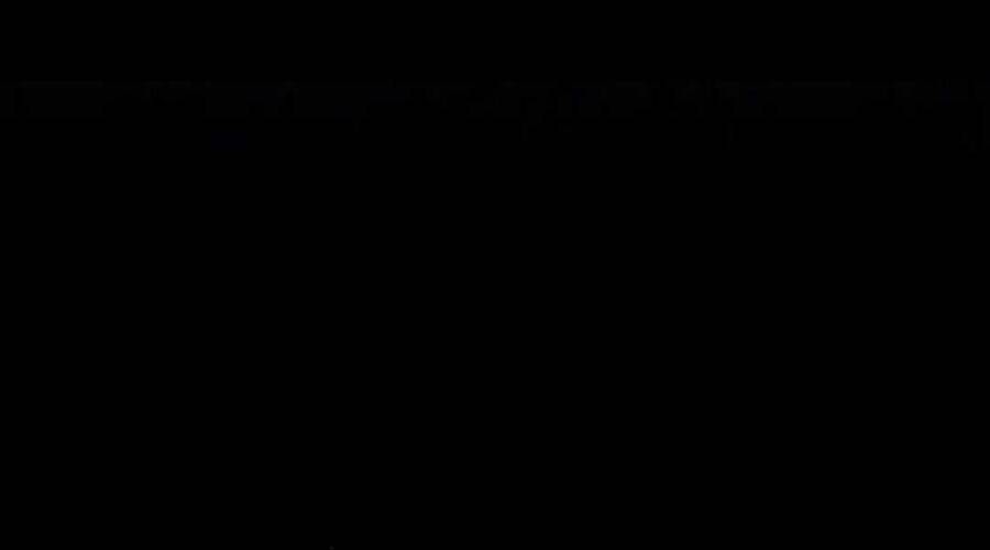 Gậy Gỗ Cấp 99+ - Chương 12.5