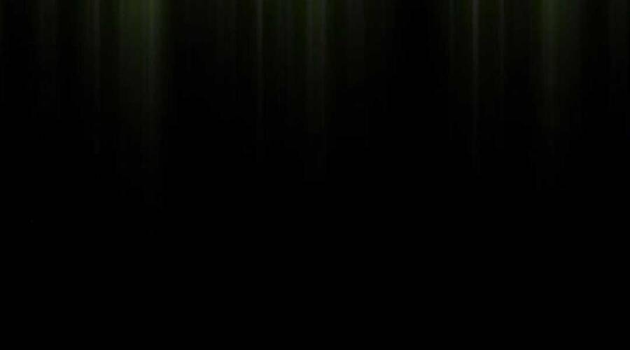 Gậy Gỗ Cấp 99+ - Chương 12.5