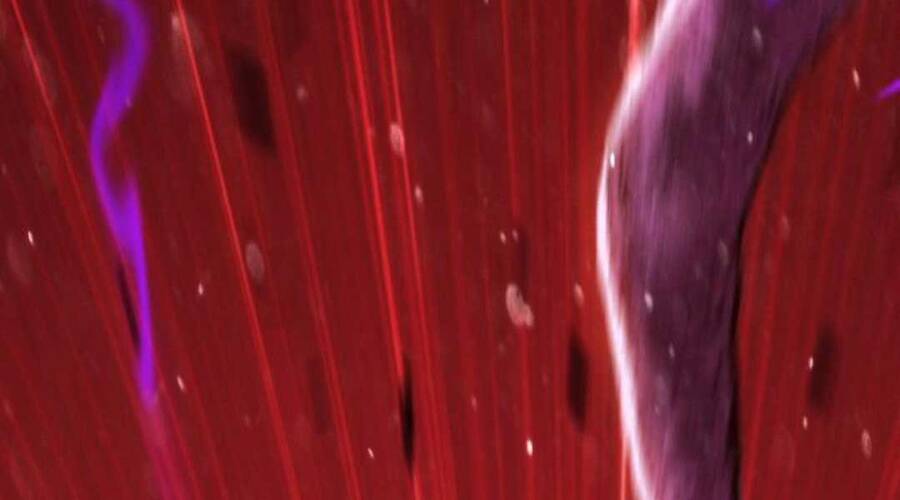 Gậy Gỗ Cấp 99+ - Chương 12.6