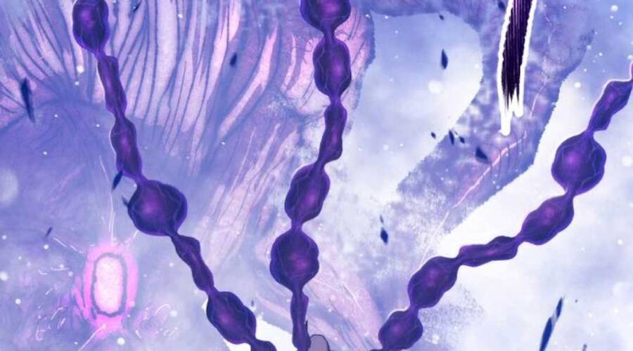 Gậy Gỗ Cấp 99+ - Chương 12.6