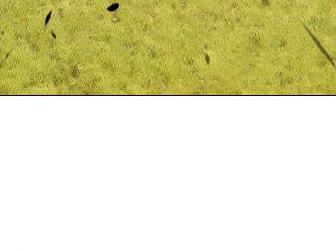 Gậy Gỗ Cấp 99+ - Chương 15.5