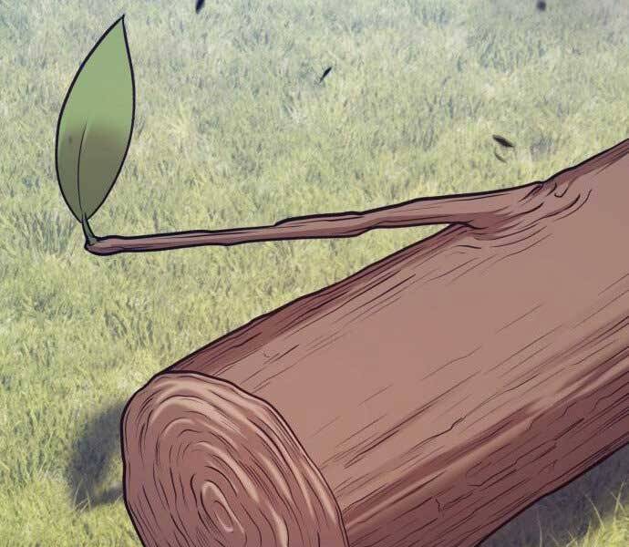 Gậy Gỗ Cấp 99+ - Chương 15.5