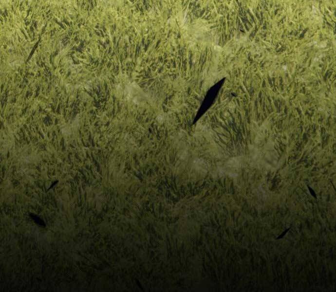 Gậy Gỗ Cấp 99+ - Chương 15.5