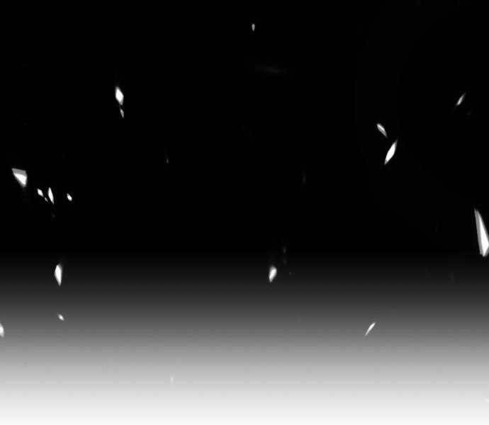 Gậy Gỗ Cấp 99+ - Chương 15.5