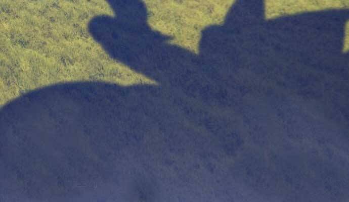 Gậy Gỗ Cấp 99+ - Chương 15.5