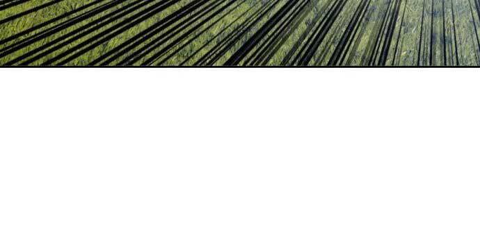 Gậy Gỗ Cấp 99+ - Chương 15.5