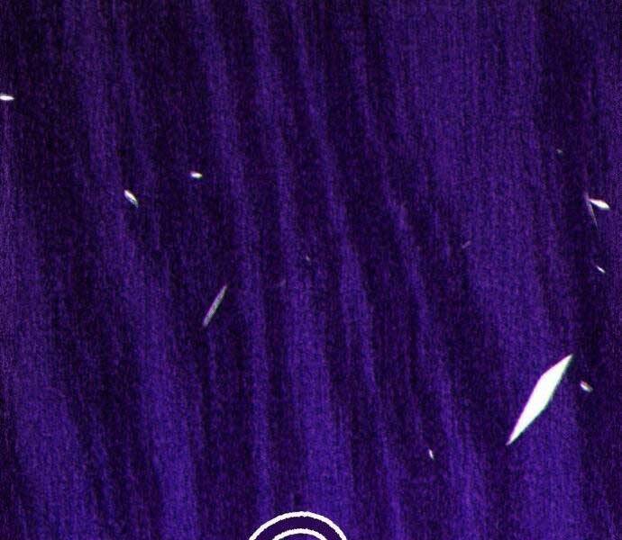 Gậy Gỗ Cấp 99+ - Chương 19.5