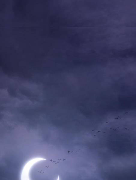 Gậy Gỗ Cấp 99+ - Chương 2.1