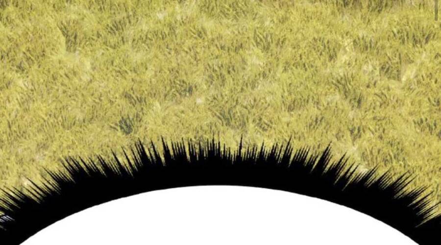 Gậy Gỗ Cấp 99+ - Chương 20.1