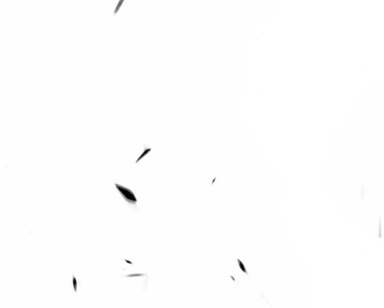 Gậy Gỗ Cấp 99+ - Chương 20.1