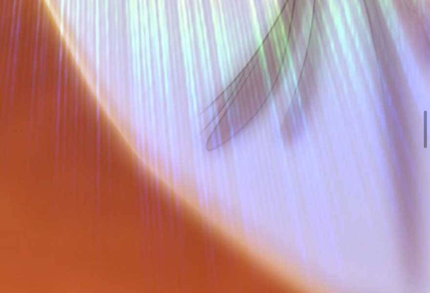 Gậy Gỗ Cấp 99+ - Chương 20.3