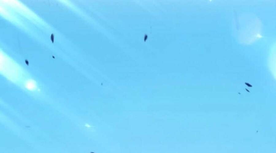 Gậy Gỗ Cấp 99+ - Chương 20.4