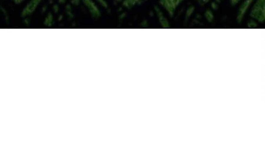 Gậy Gỗ Cấp 99+ - Chương 20.4