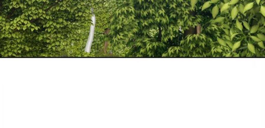 Gậy Gỗ Cấp 99+ - Chương 20