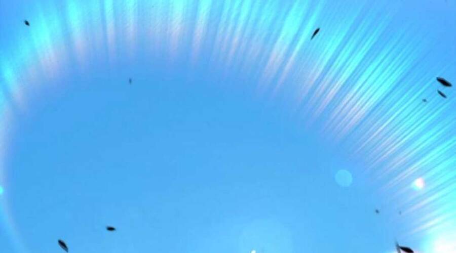 Gậy Gỗ Cấp 99+ - Chương 20