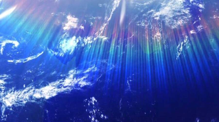 Gậy Gỗ Cấp 99+ - Chương 20