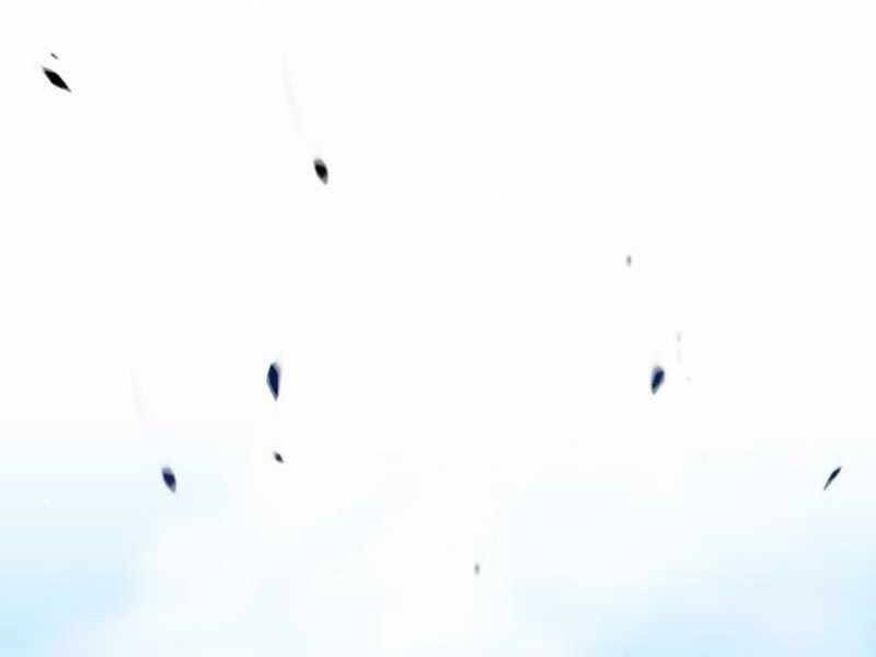 Gậy Gỗ Cấp 99+ - Chương 21.5