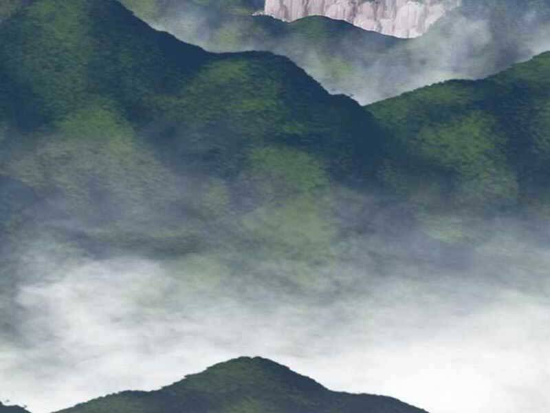 Gậy Gỗ Cấp 99+ - Chương 21.5