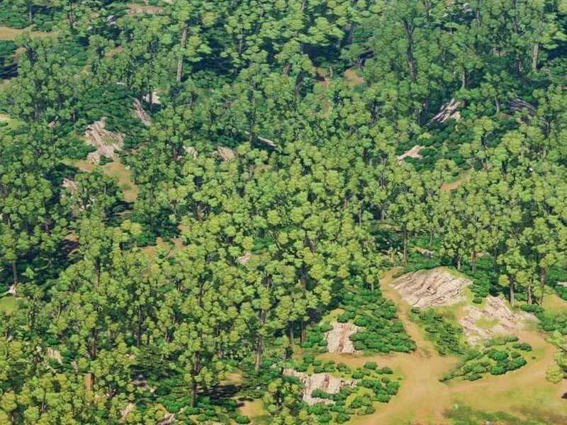 Gậy Gỗ Cấp 99+ - Chương 21