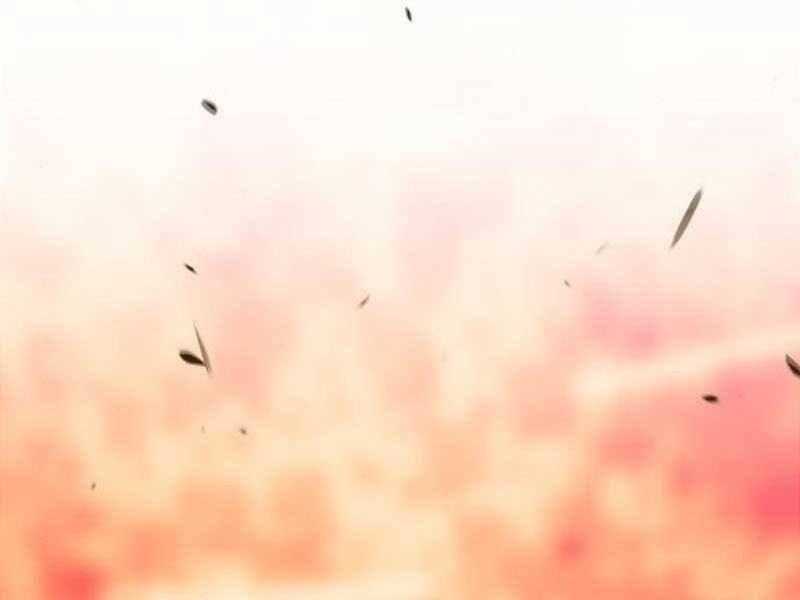 Gậy Gỗ Cấp 99+ - Chương 23.6