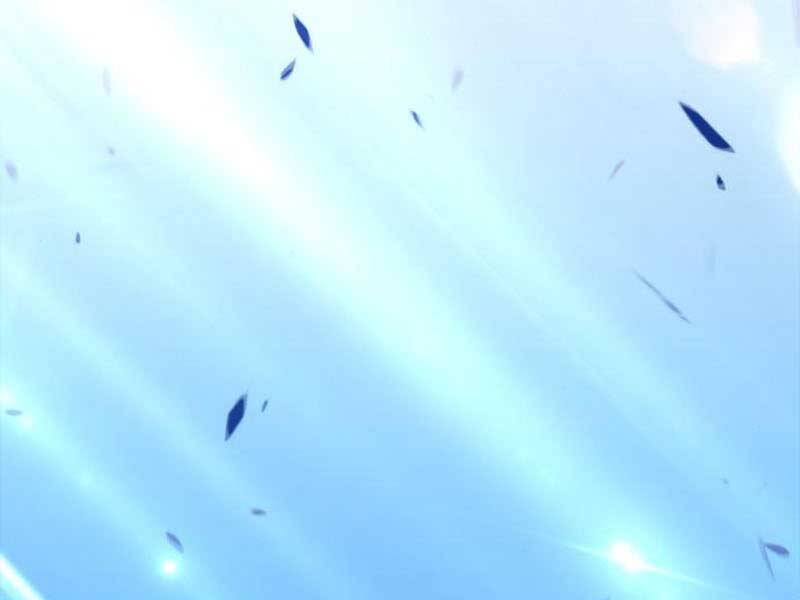 Gậy Gỗ Cấp 99+ - Chương 23