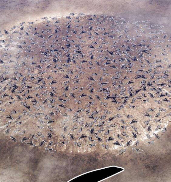 Gậy Gỗ Cấp 99+ - Chương 3.1