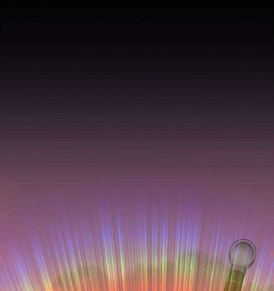 Gậy Gỗ Cấp 99+ - Chương 3.5