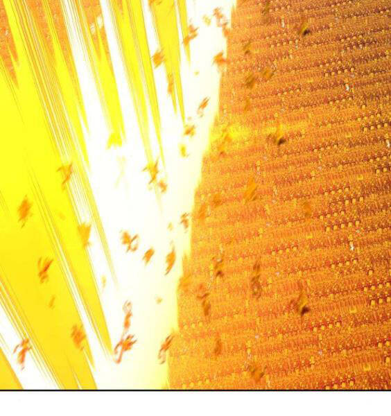 Gậy Gỗ Cấp 99+ - Chương 3.5