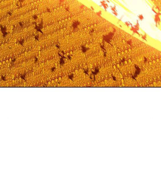 Gậy Gỗ Cấp 99+ - Chương 3.5