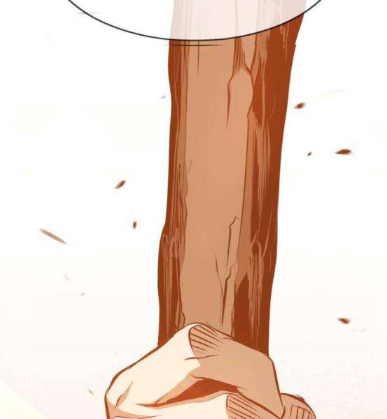 Gậy Gỗ Cấp 99+ - Chương 4.1